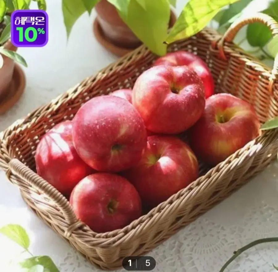햇사과 5kg 중대과 (10-24과) (페이코 22,350원/무료)