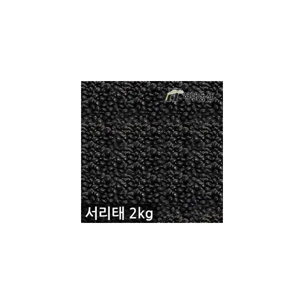 (신선집중) 국산 서리태 2kg 속청 / 4kg 구매시 사은품 증정 (쿠폰가 15,660원/무료)