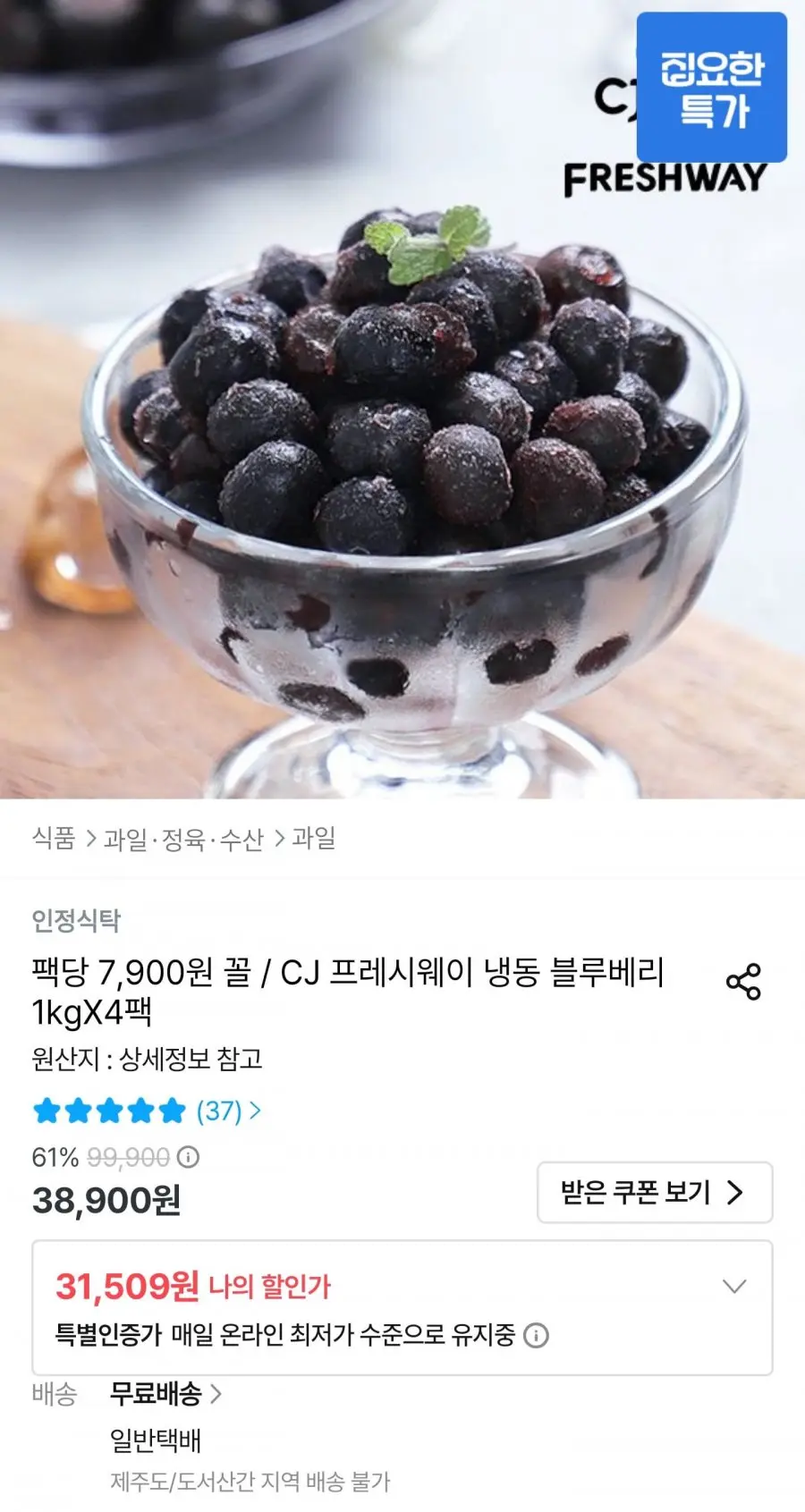 냉동 블루베리 1kg 4팩 (31,509원/무료배송)