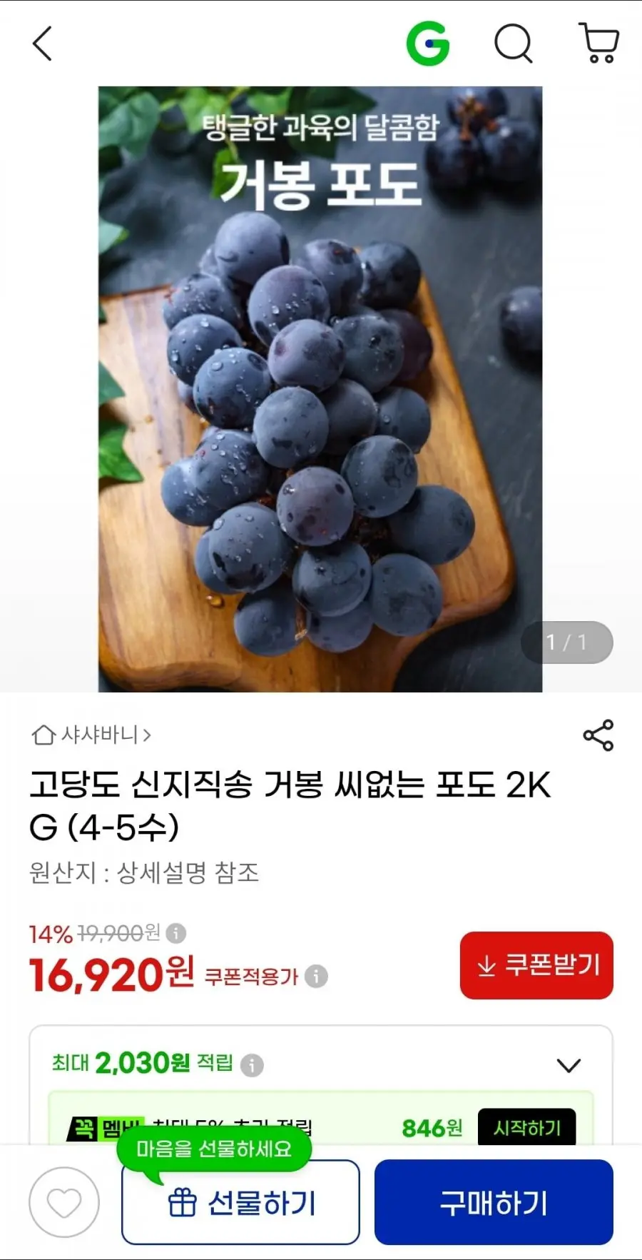 고당도 신지직송 거봉 씨없는 포도 2KG (19,900원/무료)