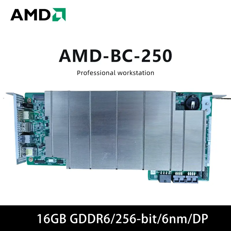 AMD BC 250 그래픽 카드 16GB GDDR6 256-bit 단일