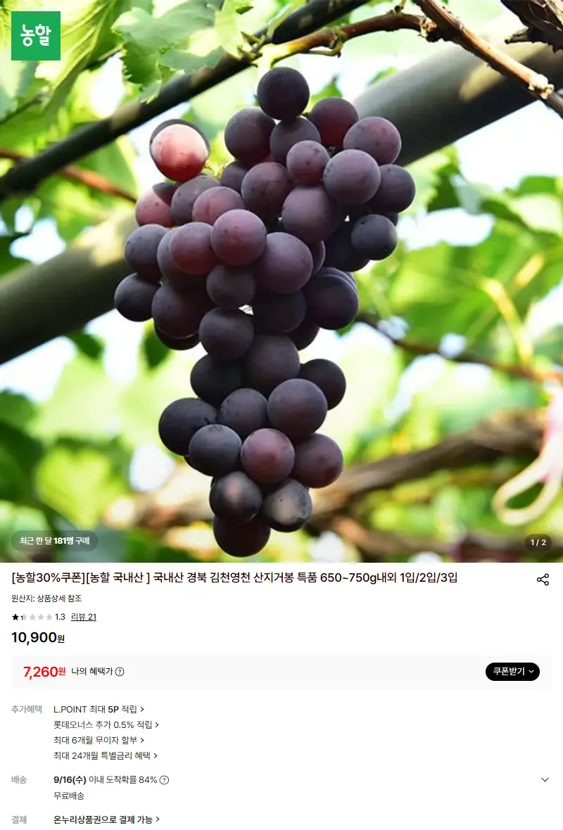 [농할 국내산 ] 국내산 경북 김천영천 산지거봉 특품 650~750g내외 1입/2입/3입 판매 페이지