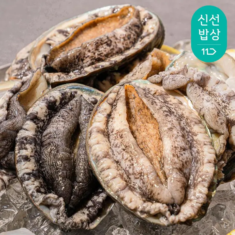 완도 활 전복1kg 6-7미 특대전복 횟감용 구이용 살아서도착 + 세척솔