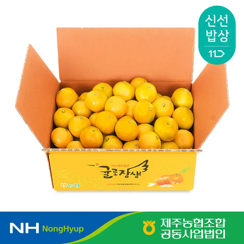 [품질보증] 제주농협 귤로장생 하우스감귤 2.5kg 소과(2S 이하)