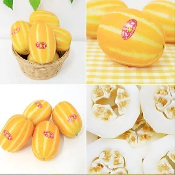 (신선집중) 성주꿀참외 대용량 특가 아삭달콤참외10kg (박스무게포함)랜덤과수(실중량9kg)