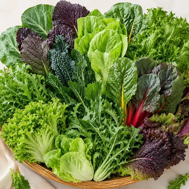 [팜보스]국내산 모듬 쌈채소 랜덤 500g 1kg 쌈밥 샐러드용 보냉포장 : 롯데ON