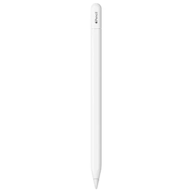 애플펜슬 (USB-C) - [MUWA3KH/A]
