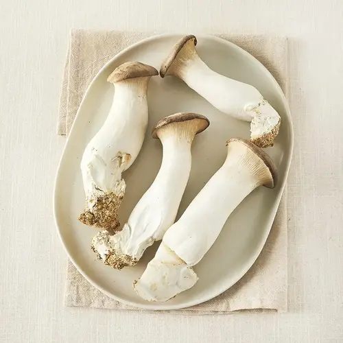 친환경 새송이버섯, 400g, 1개