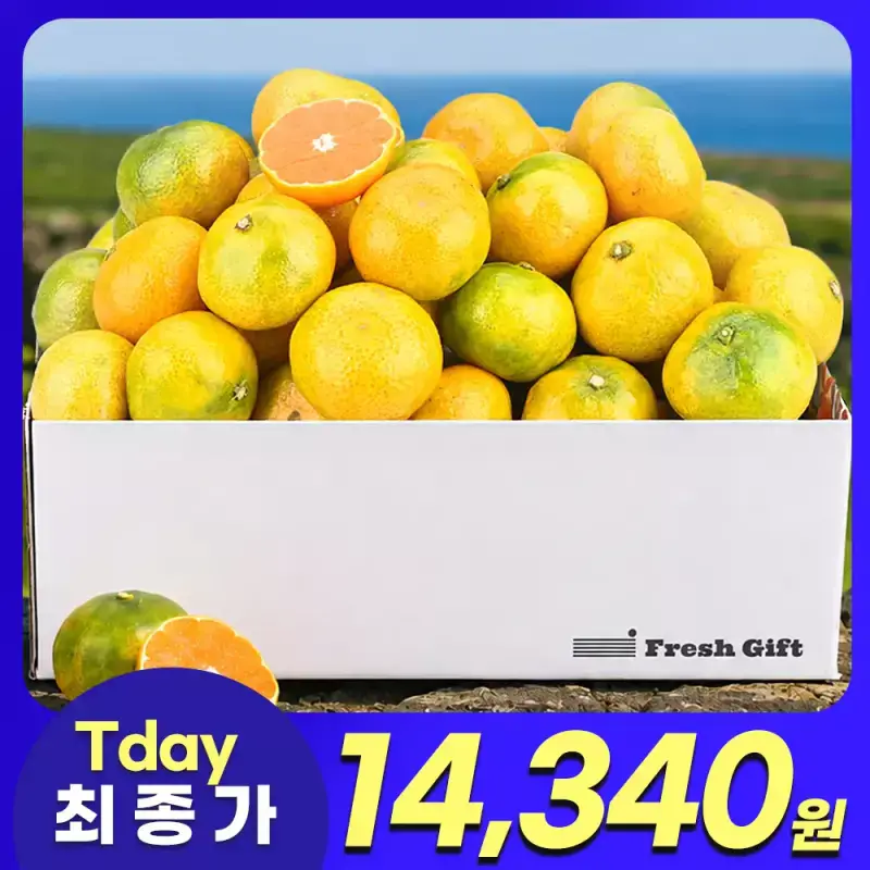 [Tday] 위미농협 선별 제주 하우스 감귤 2.5kg 소과(2S이하)