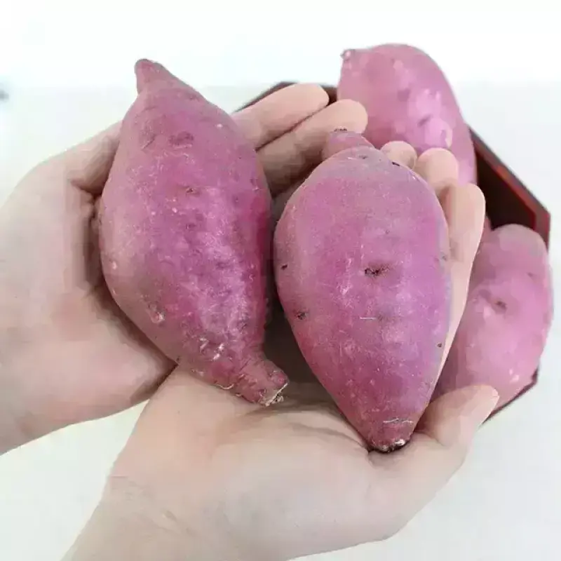 [농할] [팔도농장] 국내산 세척 고구마 (상)3kg