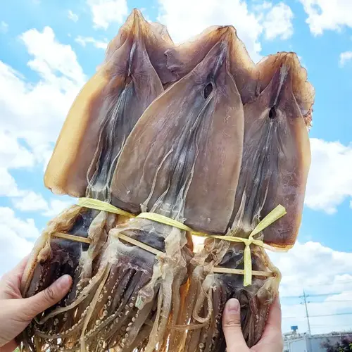 [건어물이좋다]건어물이좋다 영덕 마른오징어 건오징어 10마리