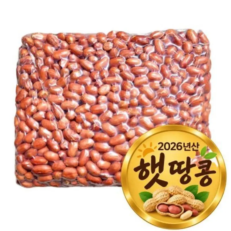 (신선집중) 볶은땅콩 3.75kg 26년 24/28 큰 알(한정특가)