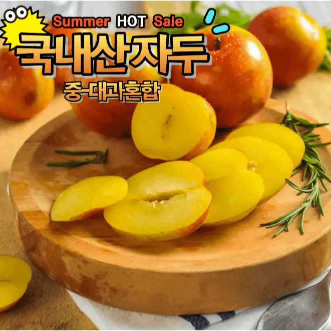 [재구매1위] 신선특가 노지 자두 산지직송
