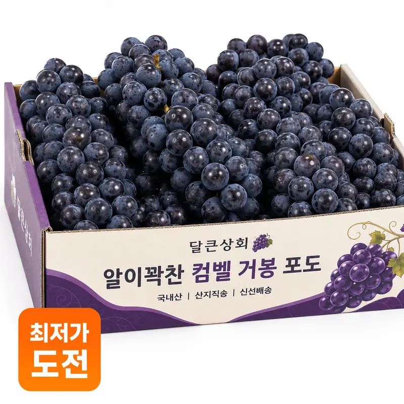 [새벽수확] 프리미엄 진한 거봉 499g 달콤과즙 여름포도 1or2수