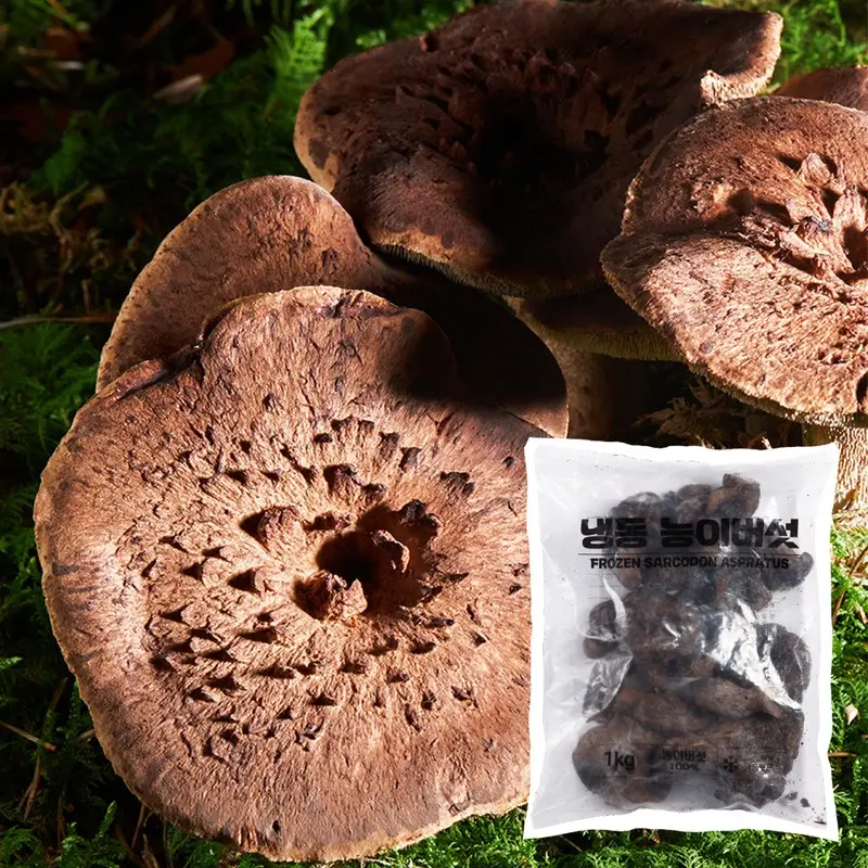 [특A급] 자연산 능이버섯 1KG 냉동