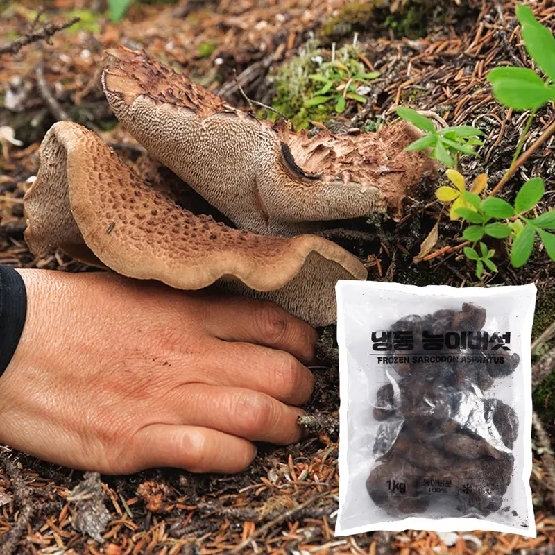 [특A급] 자연산 능이버섯 1KG 냉동