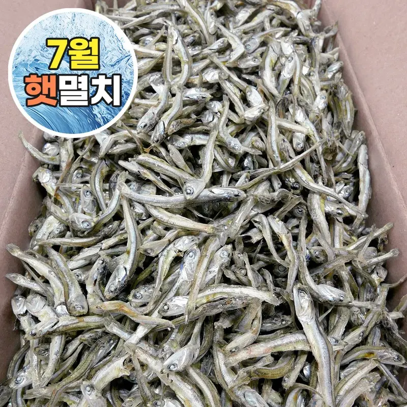 [가락시장521] 고추장 찍어먹는 국산 햇 고바멸치 1.5kg 한박스 (26년 7월 첫출하 초사리멸치)