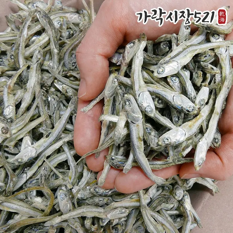 [가락시장521] 고추장 찍어먹는 국산 햇 고바멸치 1.5kg 한박스 (26년 7월 첫출하 초사리멸치)
