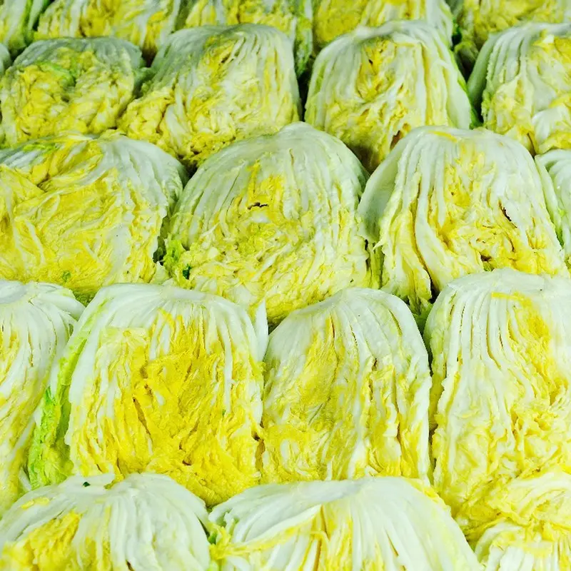 백김치 5kg 가정용 Kimchi
