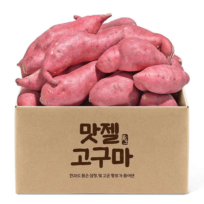 [맛젤] 2026년 햇 단밤고구마 3kg 5kg 10kg : 롯데ON