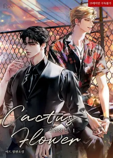 [세트]선인장 꽃 (Cactus Flower)(전4권)
