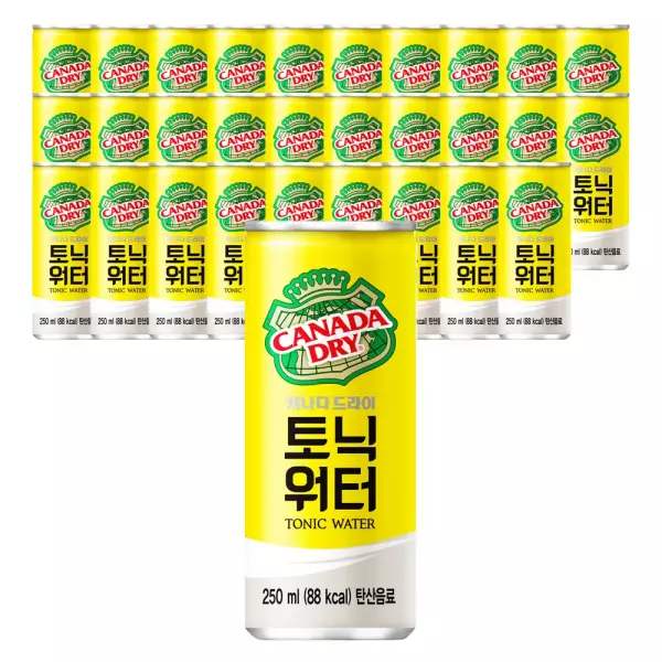 캐나다드라이 토닉워터, 250ml, 30개