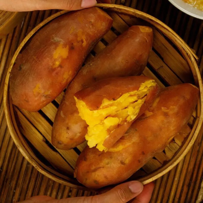 (신선집중) 전북 익산 황토 고구마 호박고구마 5kg(특상)