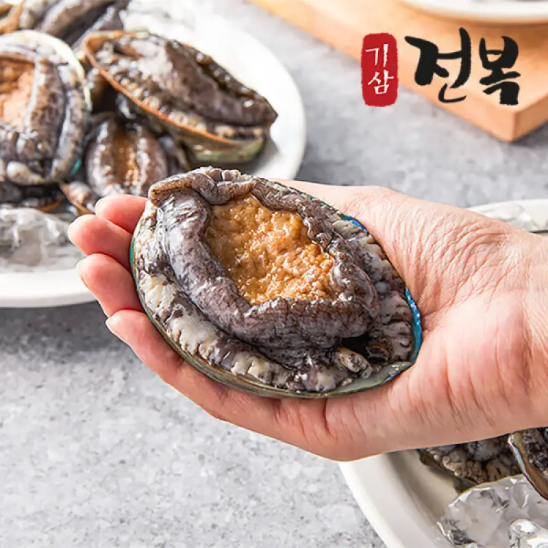 (신선집중) 6-7미 활전복 1kg 특특대 기삼산지직송 신선특허 내일도착 선물포장