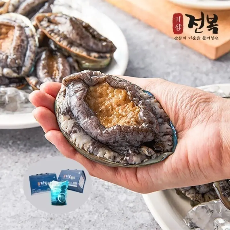 (신선집중) 11-12미 활전복 1kg 대 기삼산지직송 신선특허 내일도착 선물포장