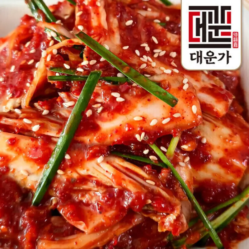 (신선집중) 본가명인 국내산 배추 겉절이 김치 3kg 전재료 100% 국산 강원도 고랭지배추 당일생산 생김치