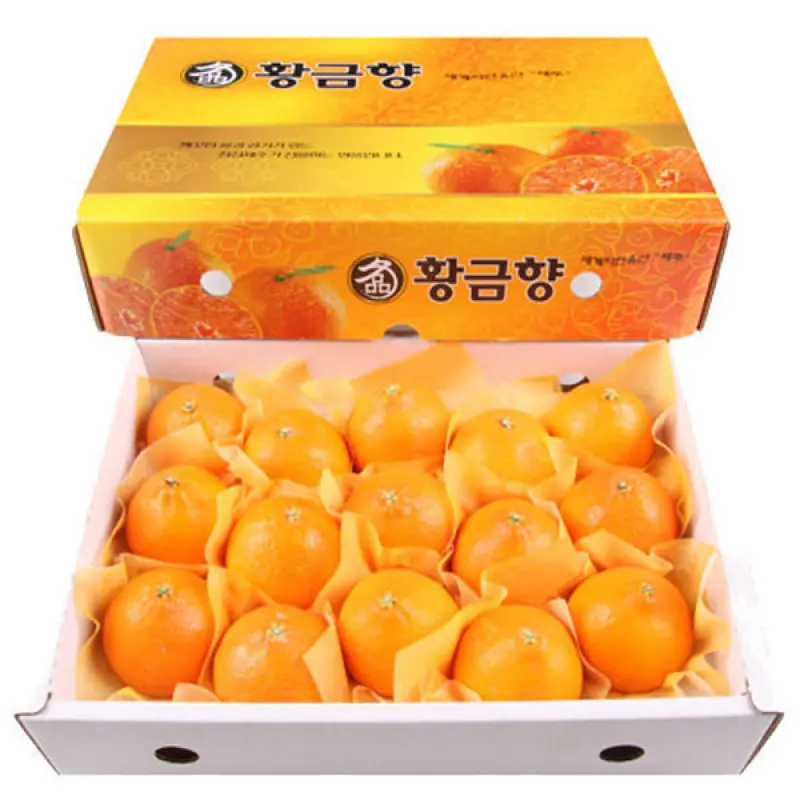 농장직송 제주도 고당도 황금향 3kg 대(14~16과)
