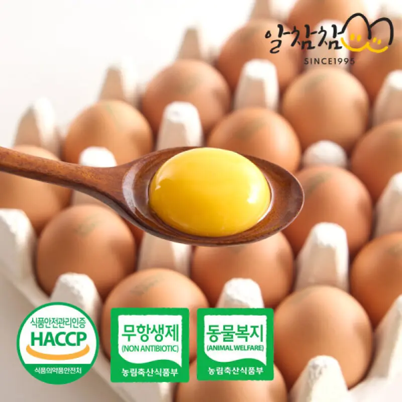(신선집중) 알참참 HACCP 동물복지 유정란 난각번호 2번 60구 계란 생란
