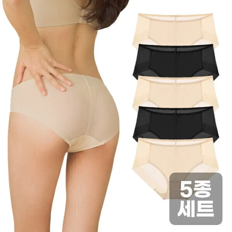 (5매세트) 비비안 외 여성 팬티 / 여자 햄팬티 순면 노라인 햄라인 면스판 모달 미디 맥시